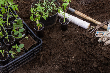 Similar image 21294689