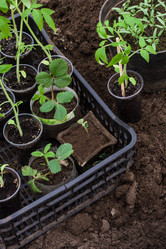 Similar image 21304402