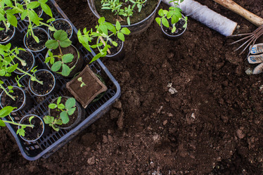 Similar image 21304404