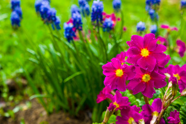 Similar image 21304423