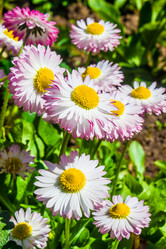 Similar image 21304425