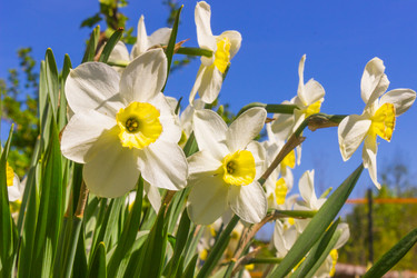 Similar image 21304427