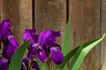 Similar image 21304435