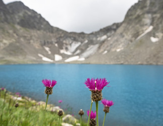 Similar image 21297810