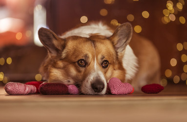 Similar image 21304356