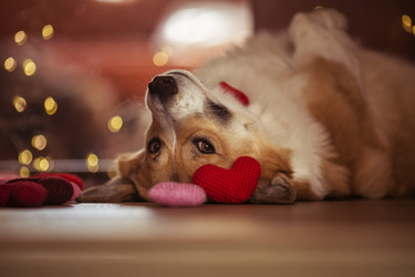 Similar image 21304358