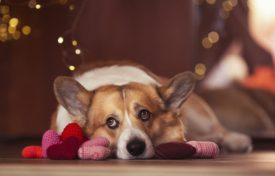 Similar image 21304476