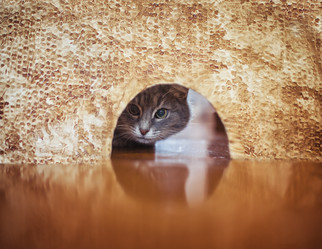 Similar image 21304478