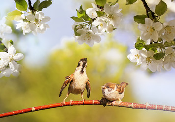 Similar image 21304480