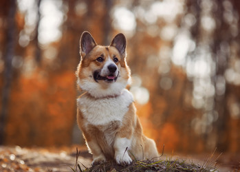 Similar image 21304487