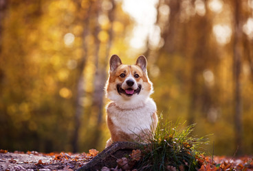 Similar image 21304491