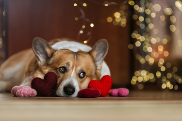 Similar image 21304495