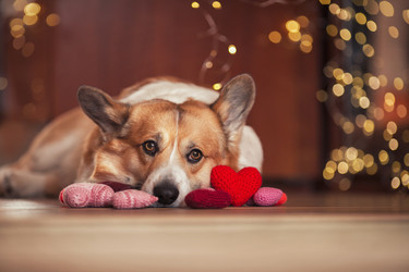 Similar image 21304497