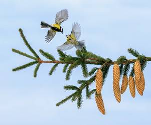 Similar image 21304498