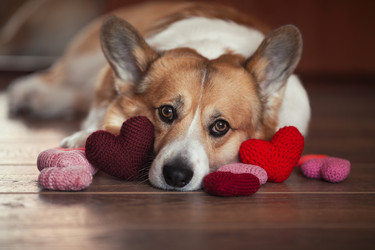 Similar image 21304499