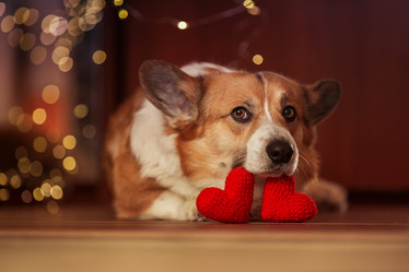 Similar image 21304501