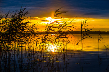 Similar image 21319236