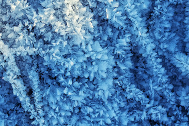 Similar image 21304513