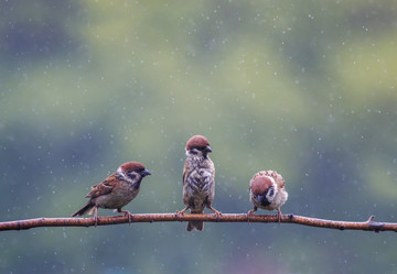 Similar image 21304515