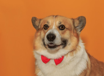 Similar image 21304522