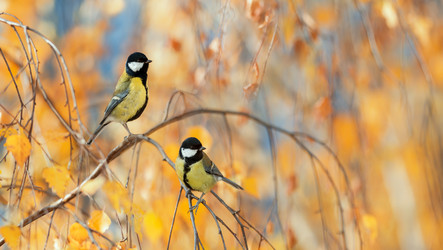 Similar image 21304523