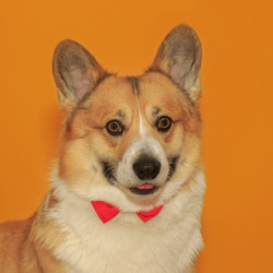 Similar image 21304524