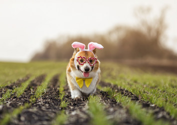 Similar image 21304525