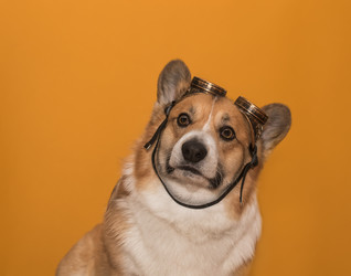 Similar image 21304526