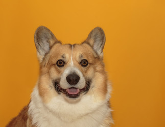 Similar image 21304528