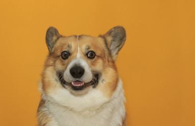 Similar image 21304530