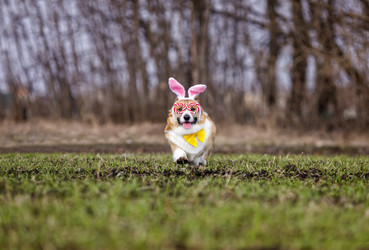 Similar image 21304533