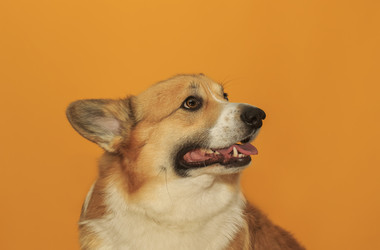 Similar image 21304534