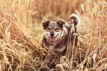 Similar image 21304535