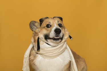 Similar image 21304536