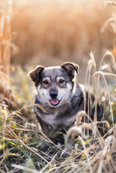 Similar image 21304537