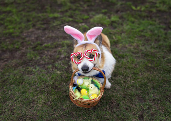 Similar image 21304539