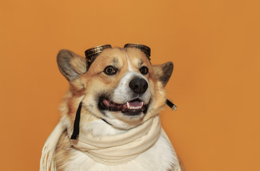 Similar image 21304540