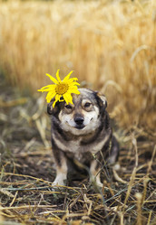 Similar image 21304541