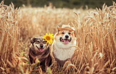 Similar image 21304545