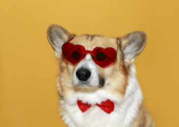 Similar image 21304546