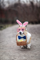 Similar image 21304547