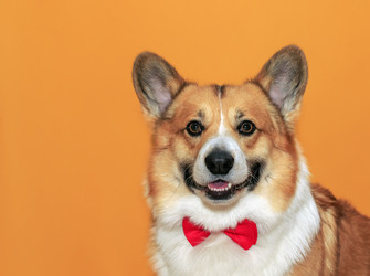 Similar image 21304548