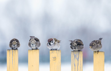 Similar image 21304551