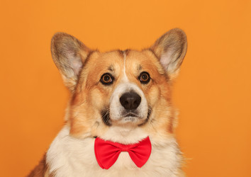 Similar image 21304552