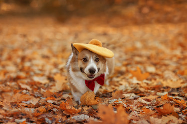 Similar image 21304553