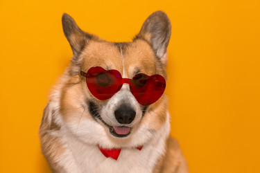 Similar image 21304554