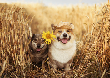 Similar image 21304555