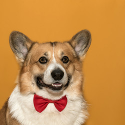 Similar image 21304556