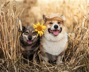 Similar image 21304557