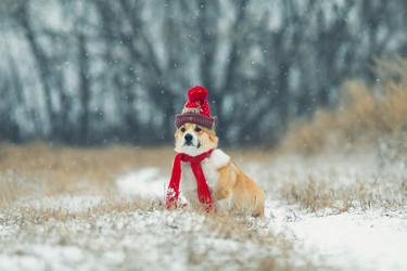 Similar image 21304473